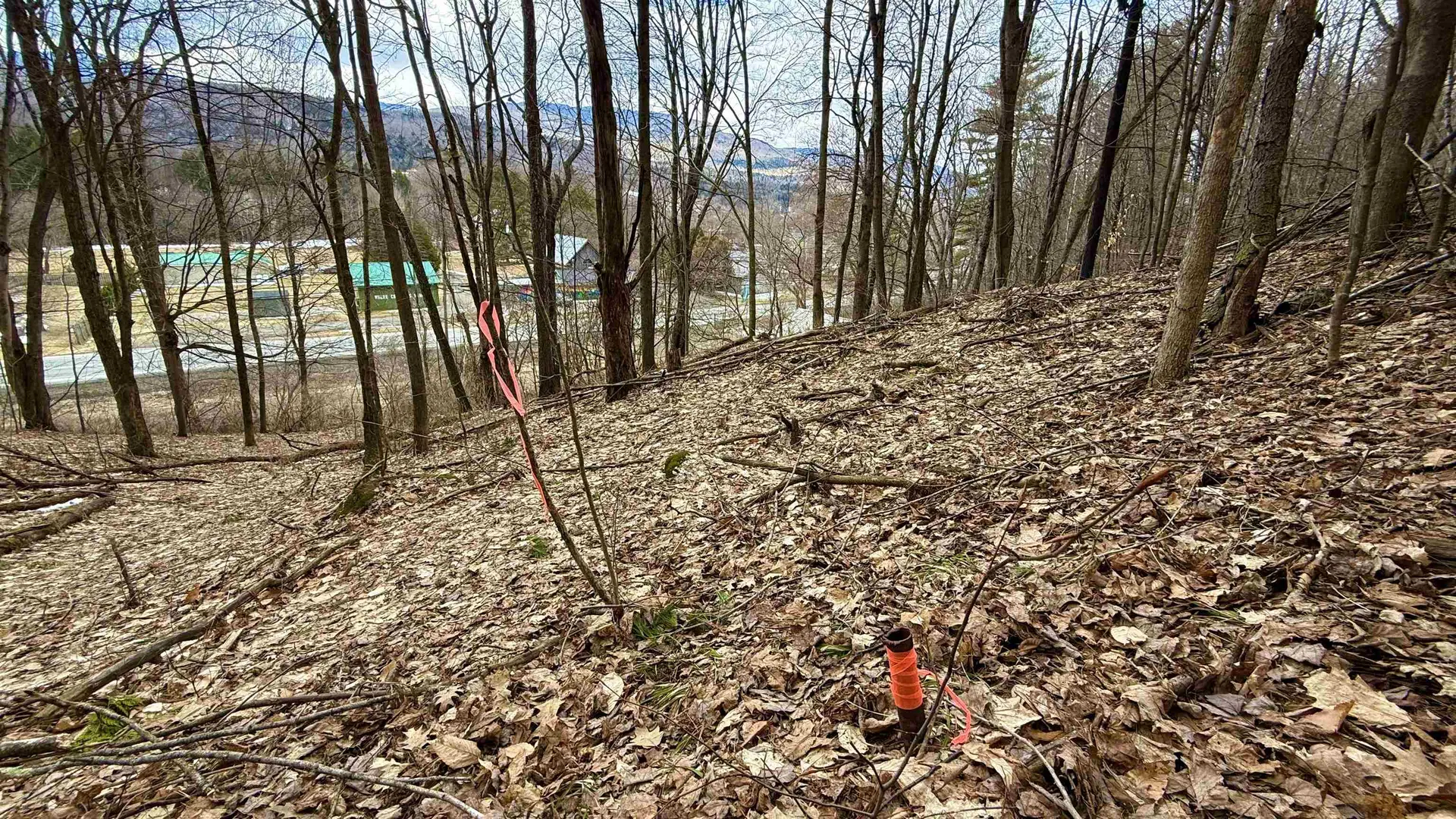 806 Vt Route 15 W Johnson VT 05656