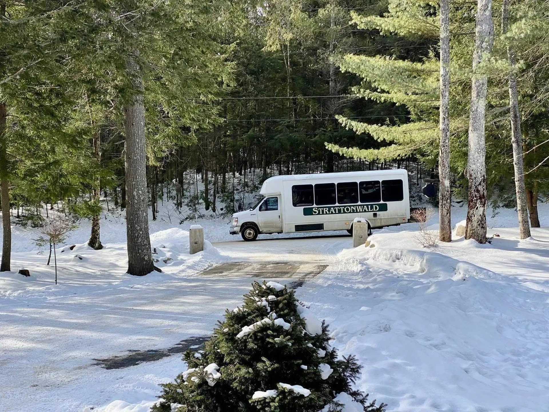 33 Strattonwald Road Winhall VT 05340