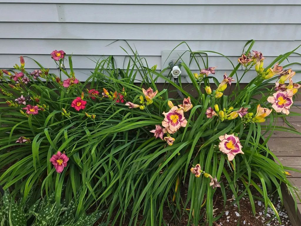 2 Shetland Lane Swanton VT 05488