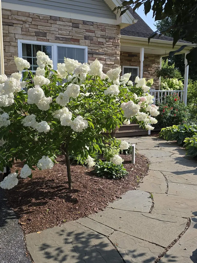 2 Shetland Lane Swanton VT 05488