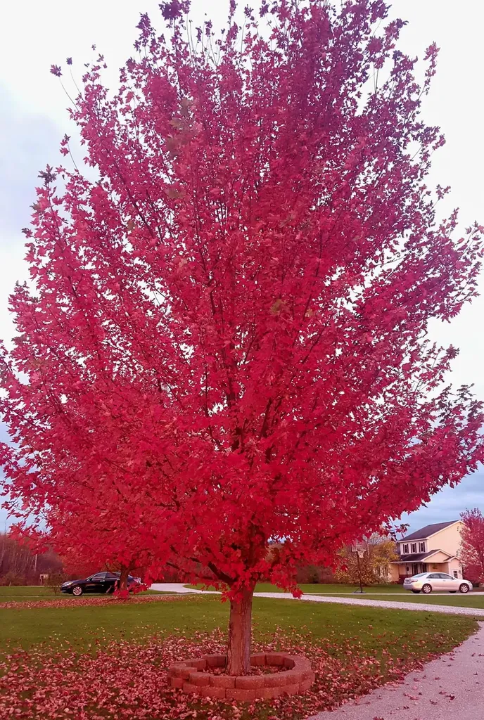 2 Shetland Lane Swanton VT 05488