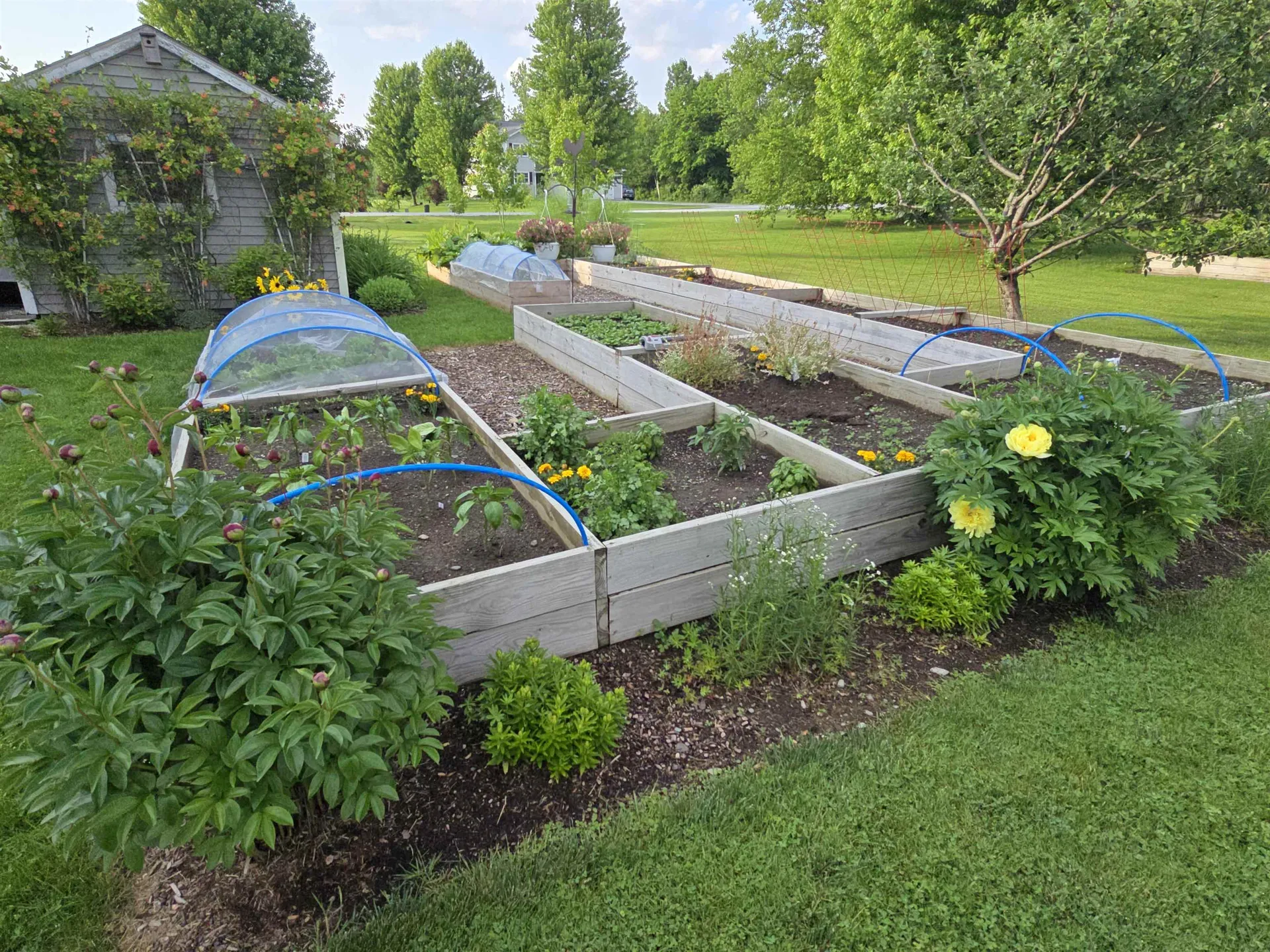 2 Shetland Lane Swanton VT 05488