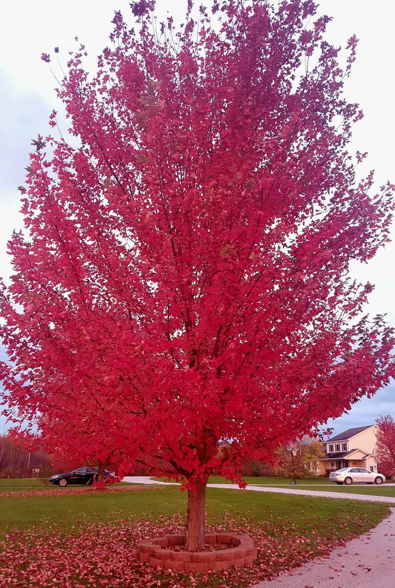 2 Shetland Lane Swanton VT 05488