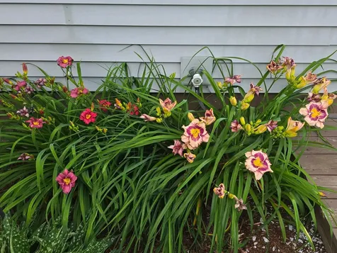 2 Shetland Lane Swanton VT 05488
