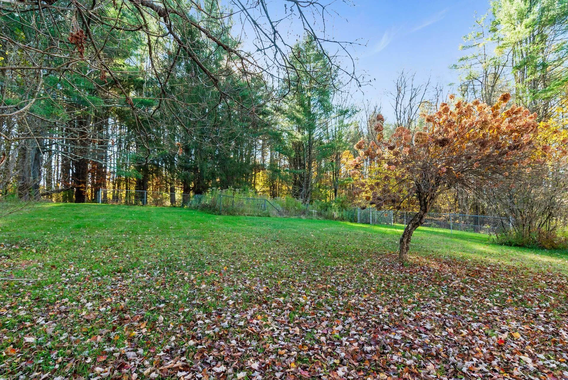 598 East Woodstock Road Woodstock VT 05091