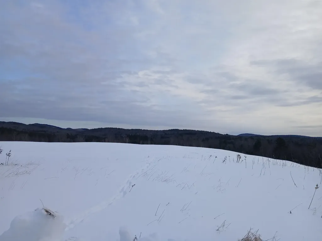 301 Hardy Hill Road Grafton NH 03240