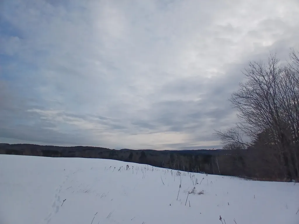 301 Hardy Hill Road Grafton NH 03240