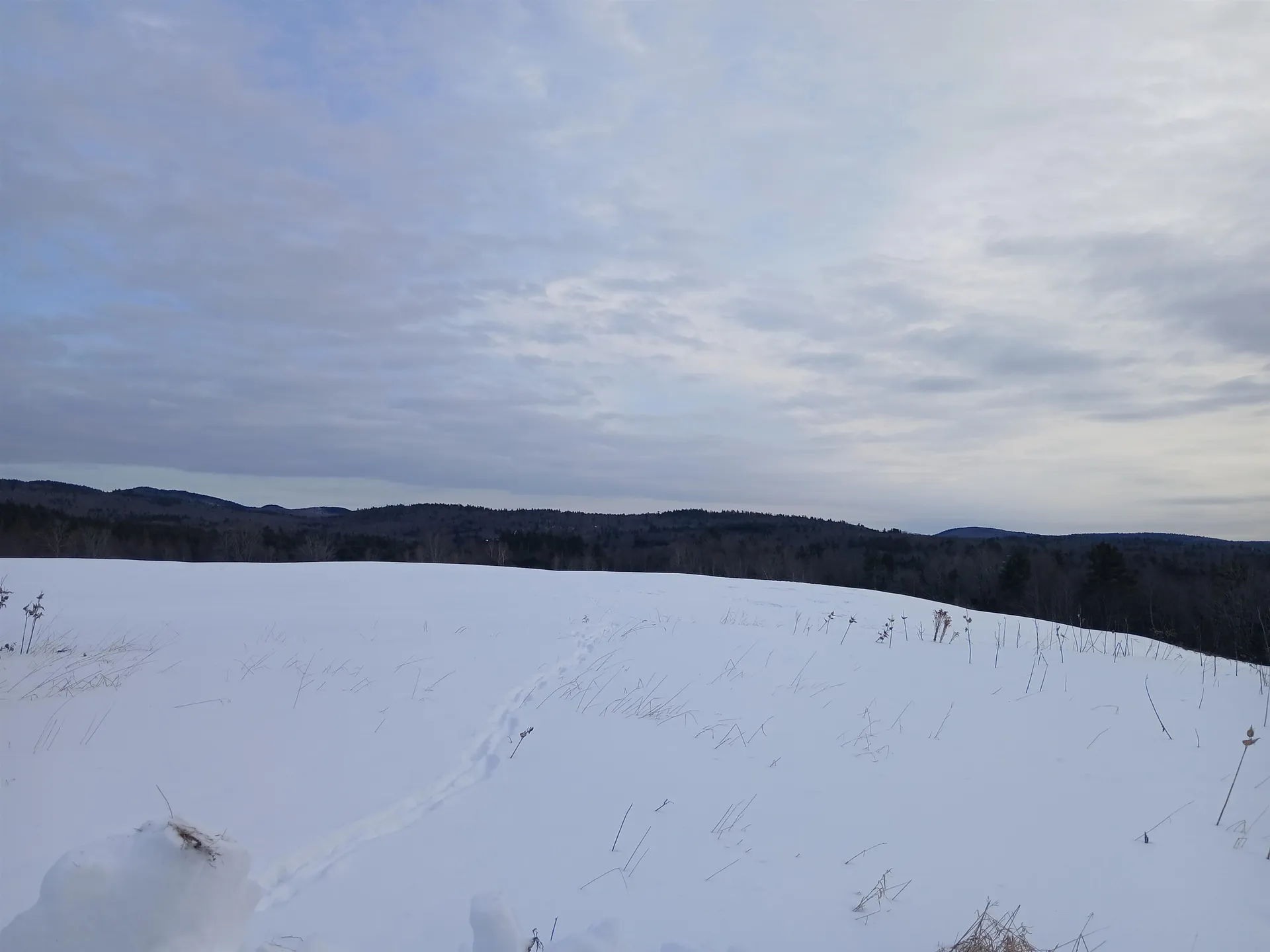 301 Hardy Hill Road Grafton NH 03240