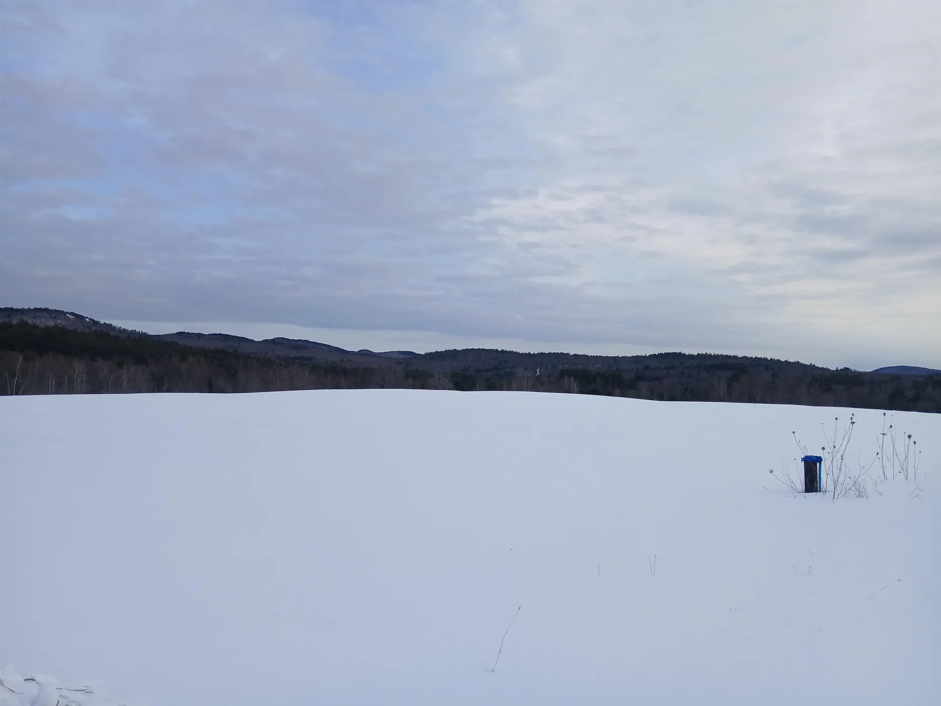 301 Hardy Hill Road Grafton NH 03240