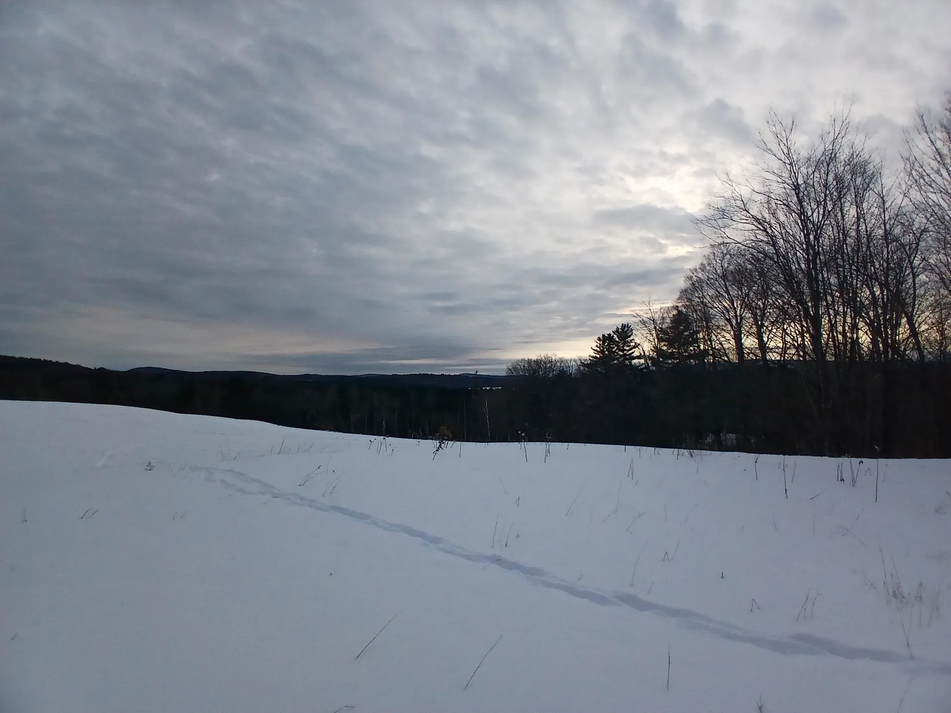 301 Hardy Hill Road Grafton NH 03240