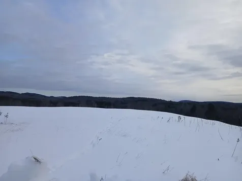 301 Hardy Hill Road Grafton NH 03240