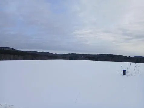 301 Hardy Hill Road Grafton NH 03240