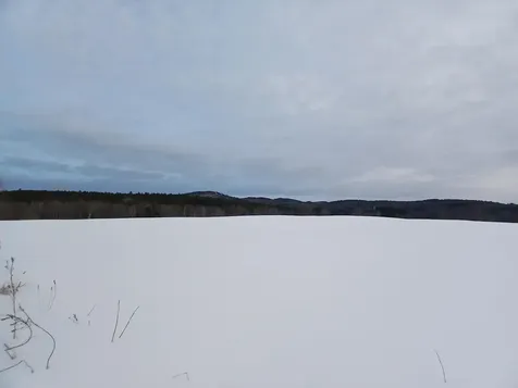 301 Hardy Hill Road Grafton NH 03240