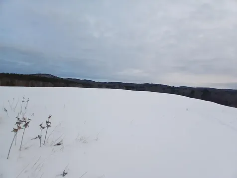 301 Hardy Hill Road Grafton NH 03240