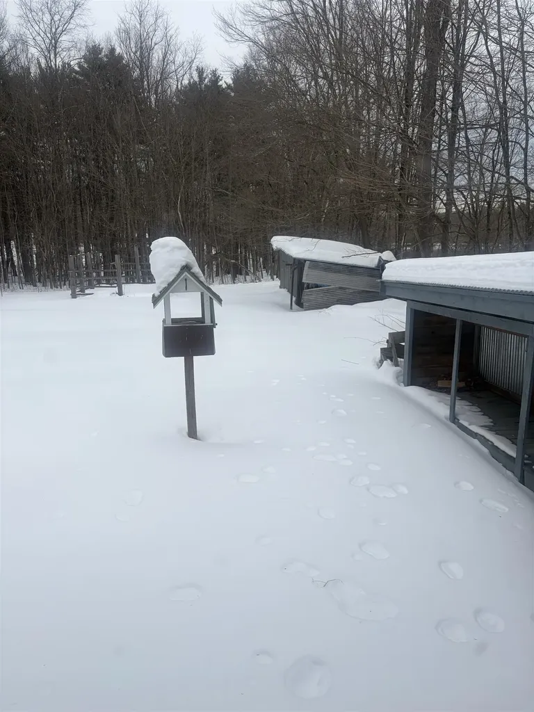 263 Pickpocket Road Brentwood NH 03833