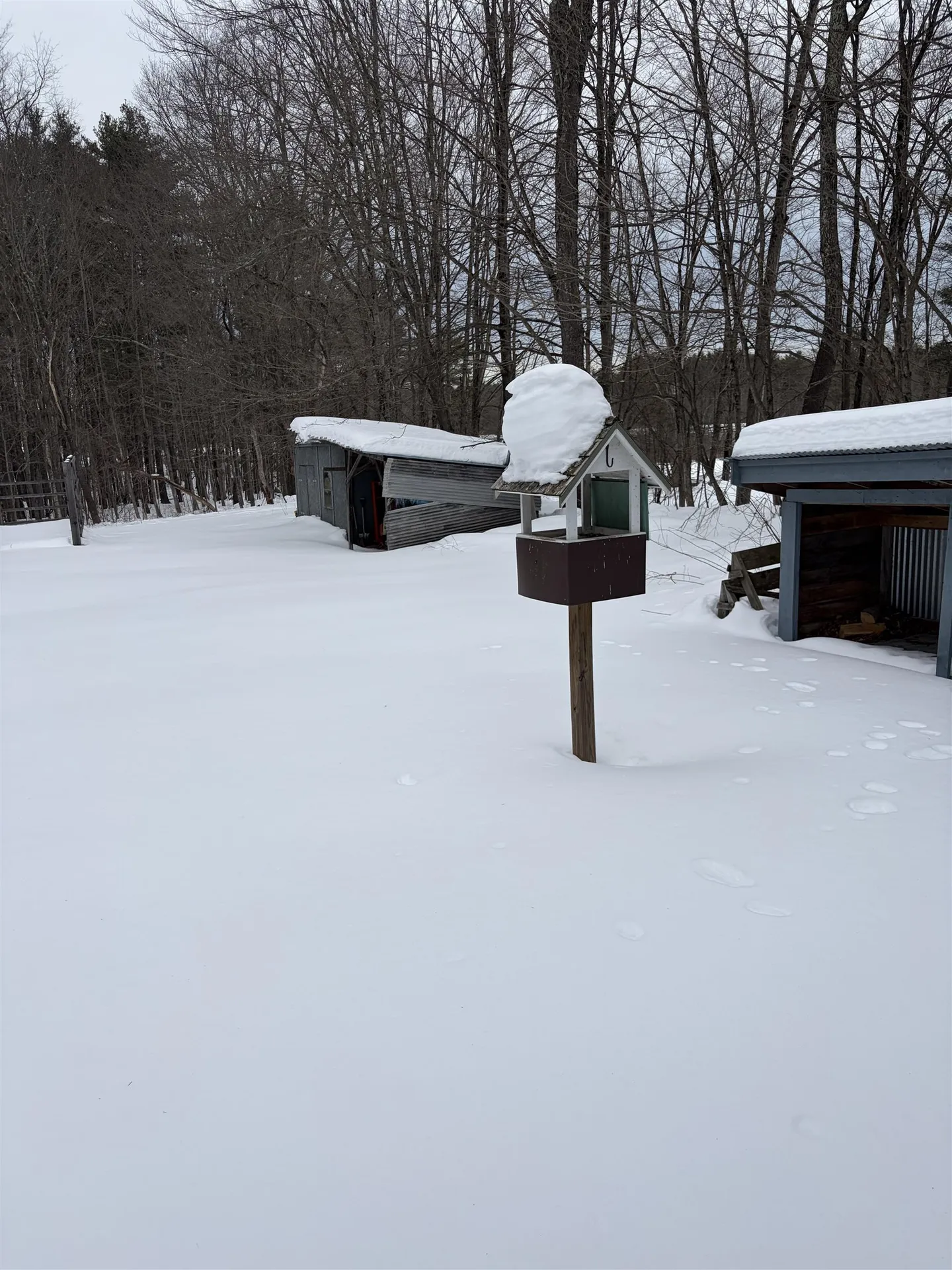 263 Pickpocket Road Brentwood NH 03833