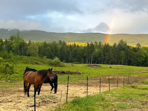 139 Turner Road Wentworth NH 03282