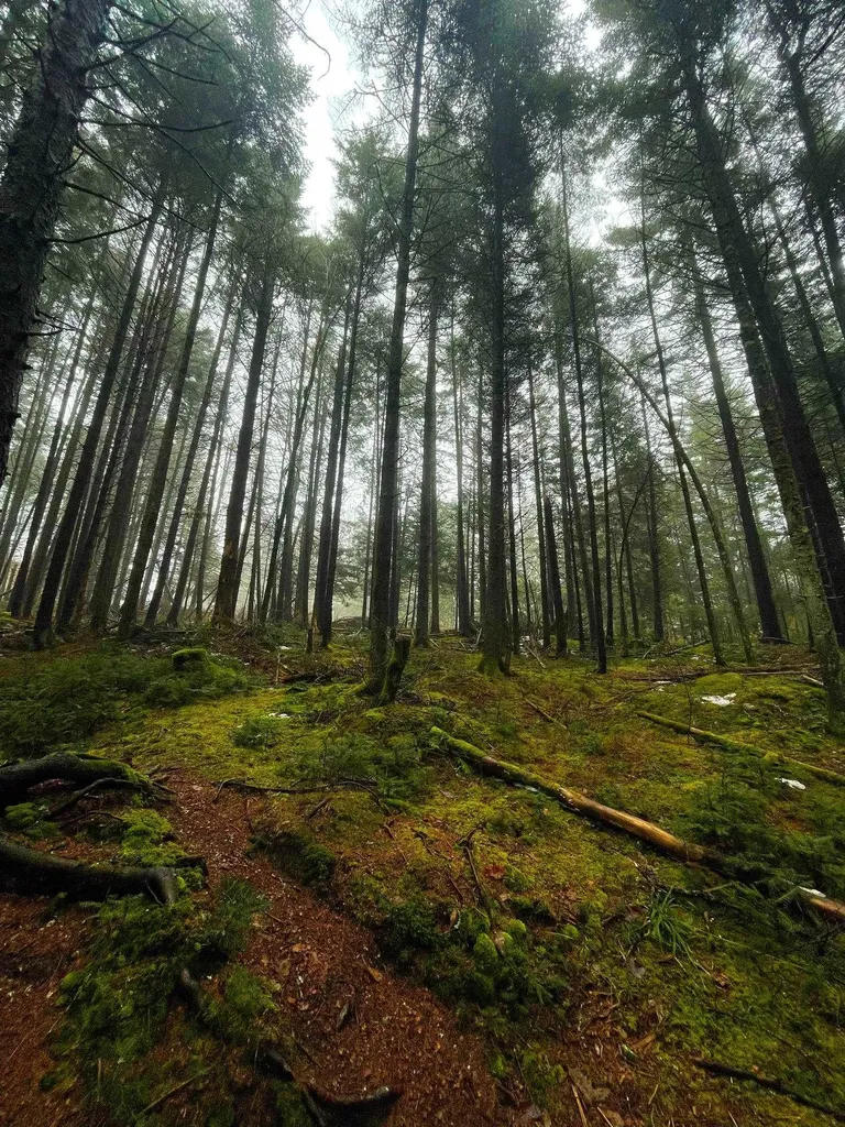 1660 Town Line Road Craftsbury VT 05827