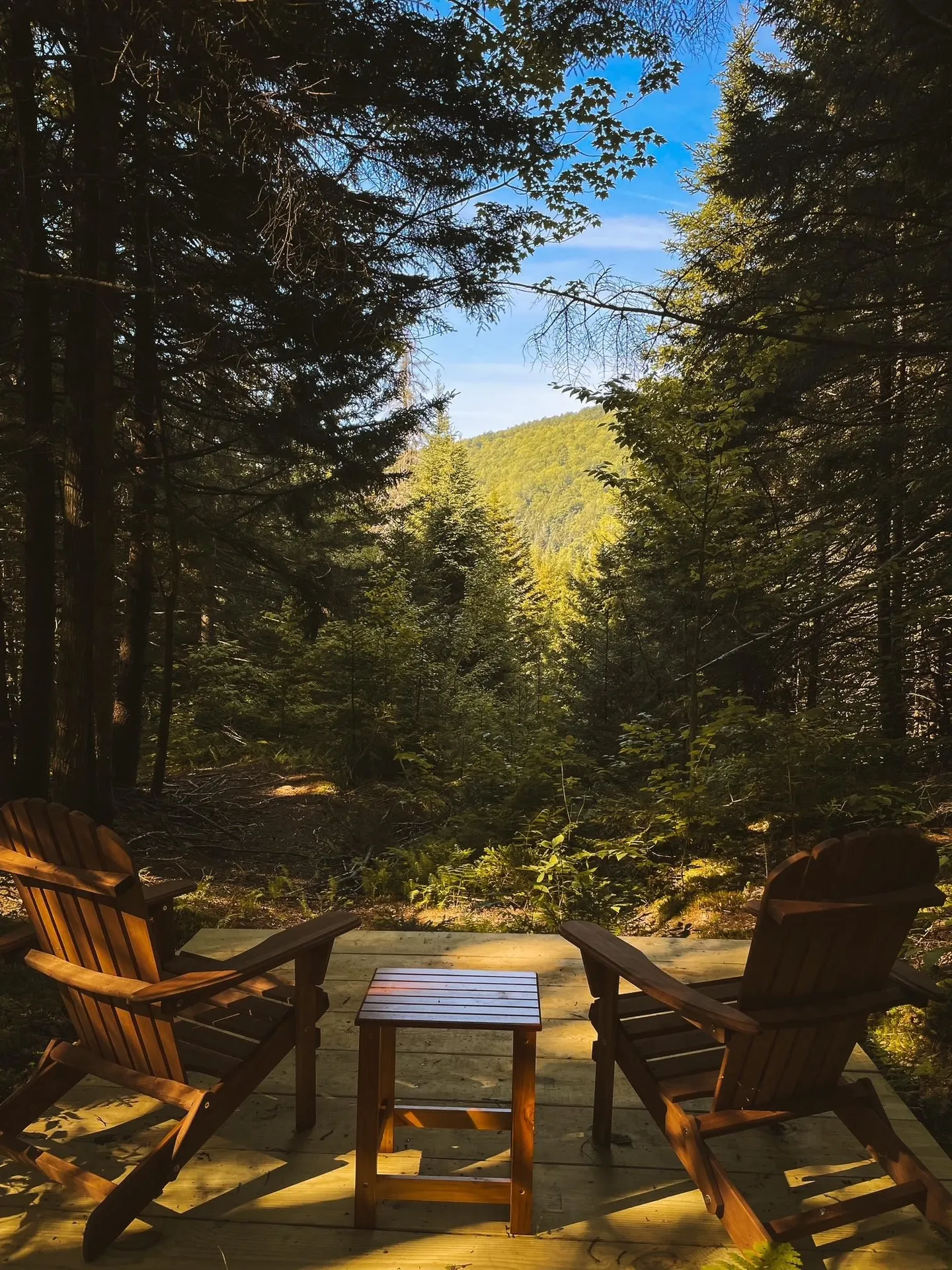 1660 Town Line Road Craftsbury VT 05827