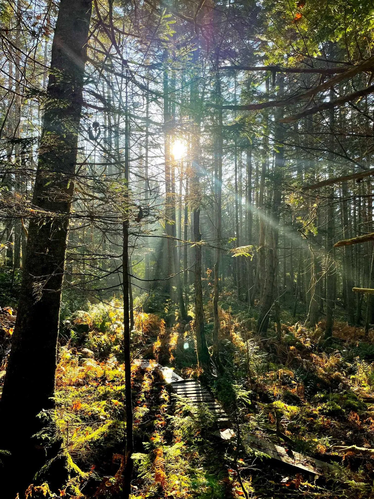 1660 Town Line Road Craftsbury VT 05827