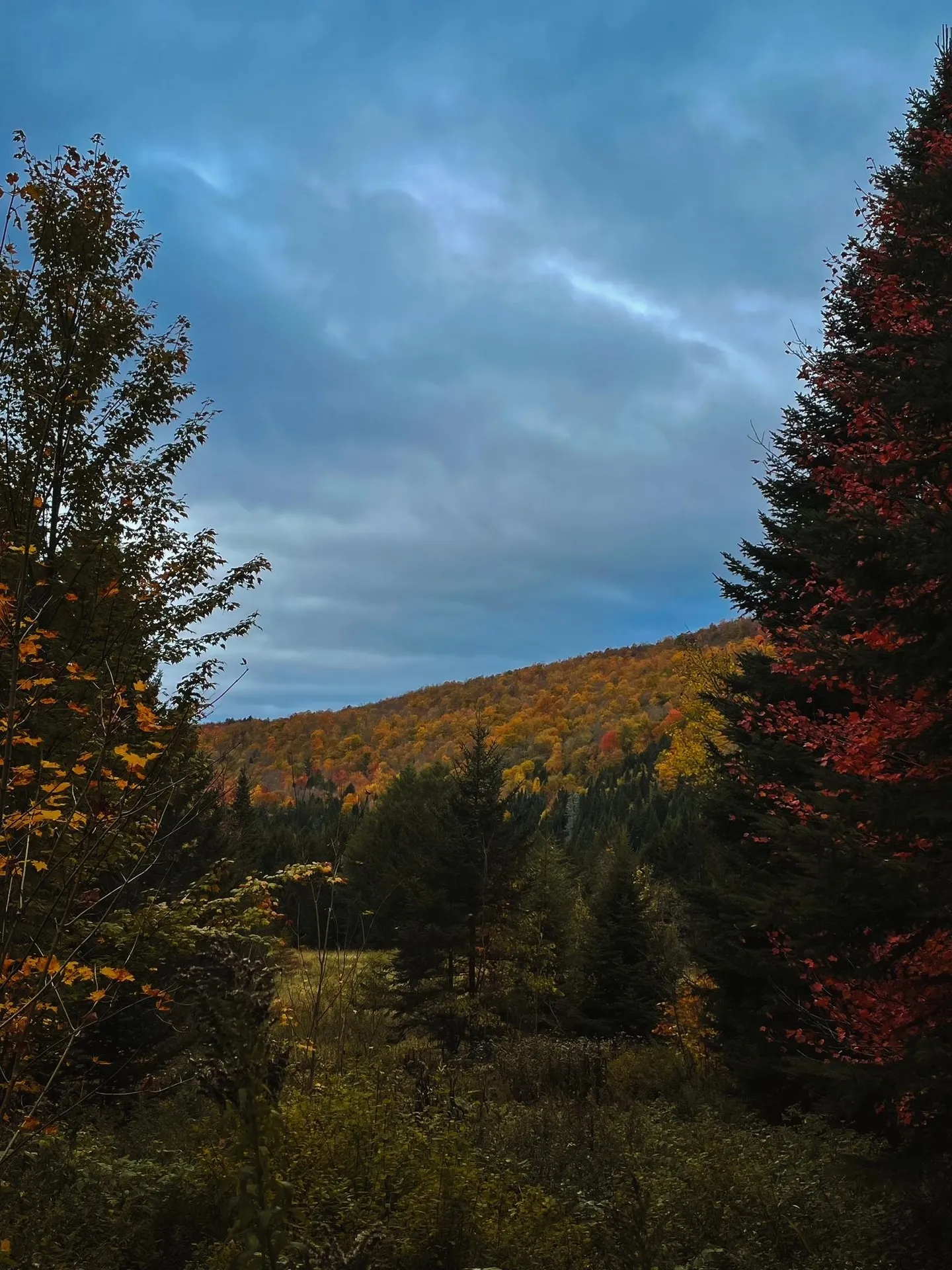 1660 Town Line Road Craftsbury VT 05827