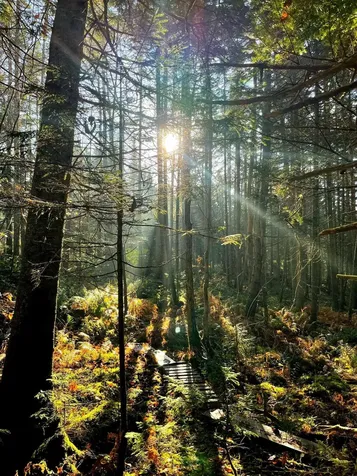 1660 Town Line Road Craftsbury VT 05827