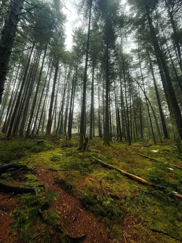 1660 Town Line Road Craftsbury VT 05827