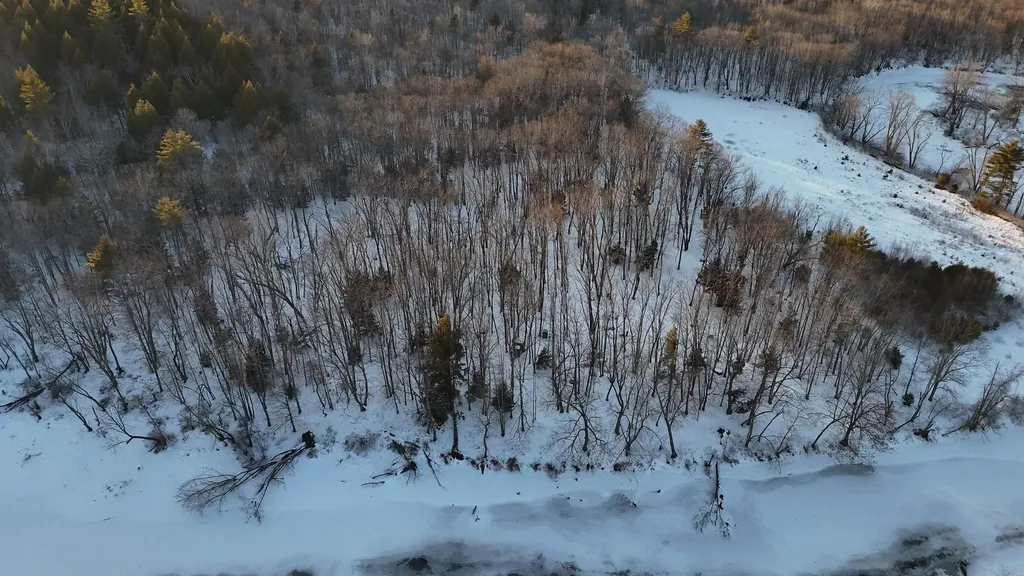 Lot 6 Old River Road Fryeburg ME 04037