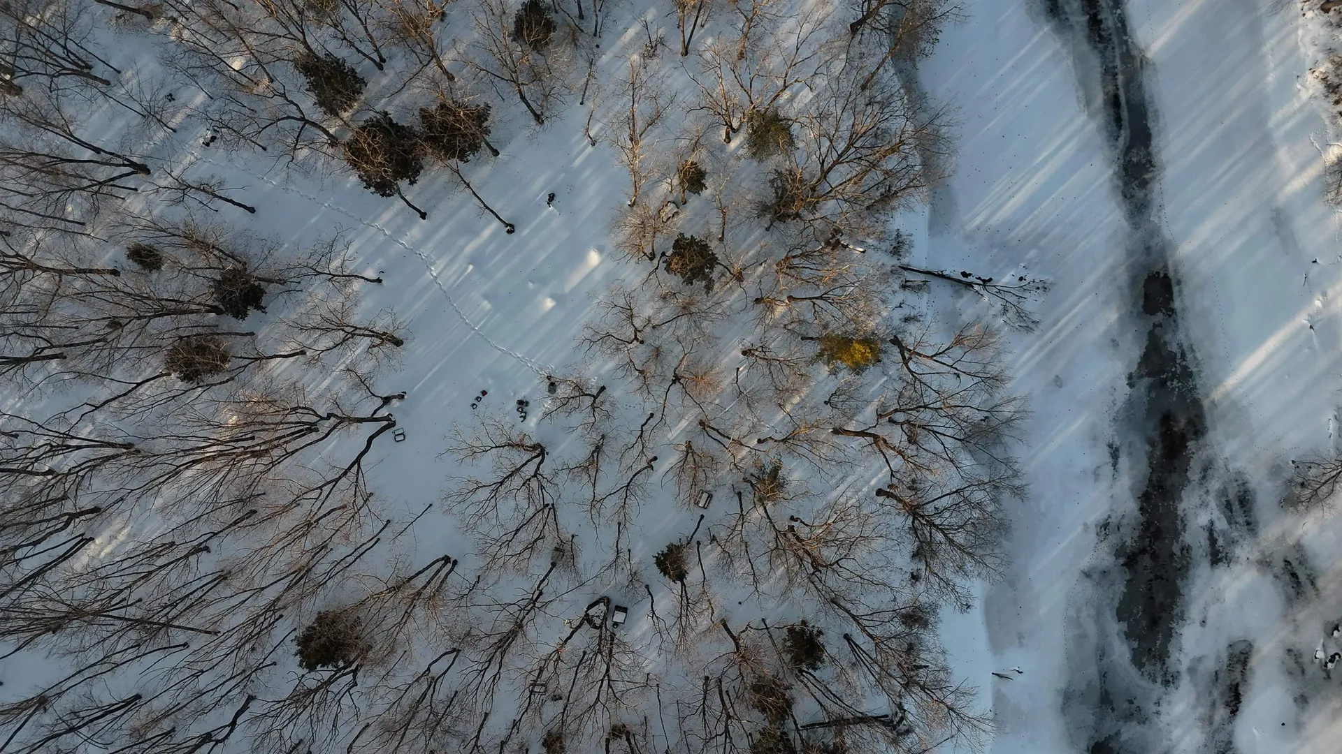 Lot 6 Old River Road Fryeburg ME 04037