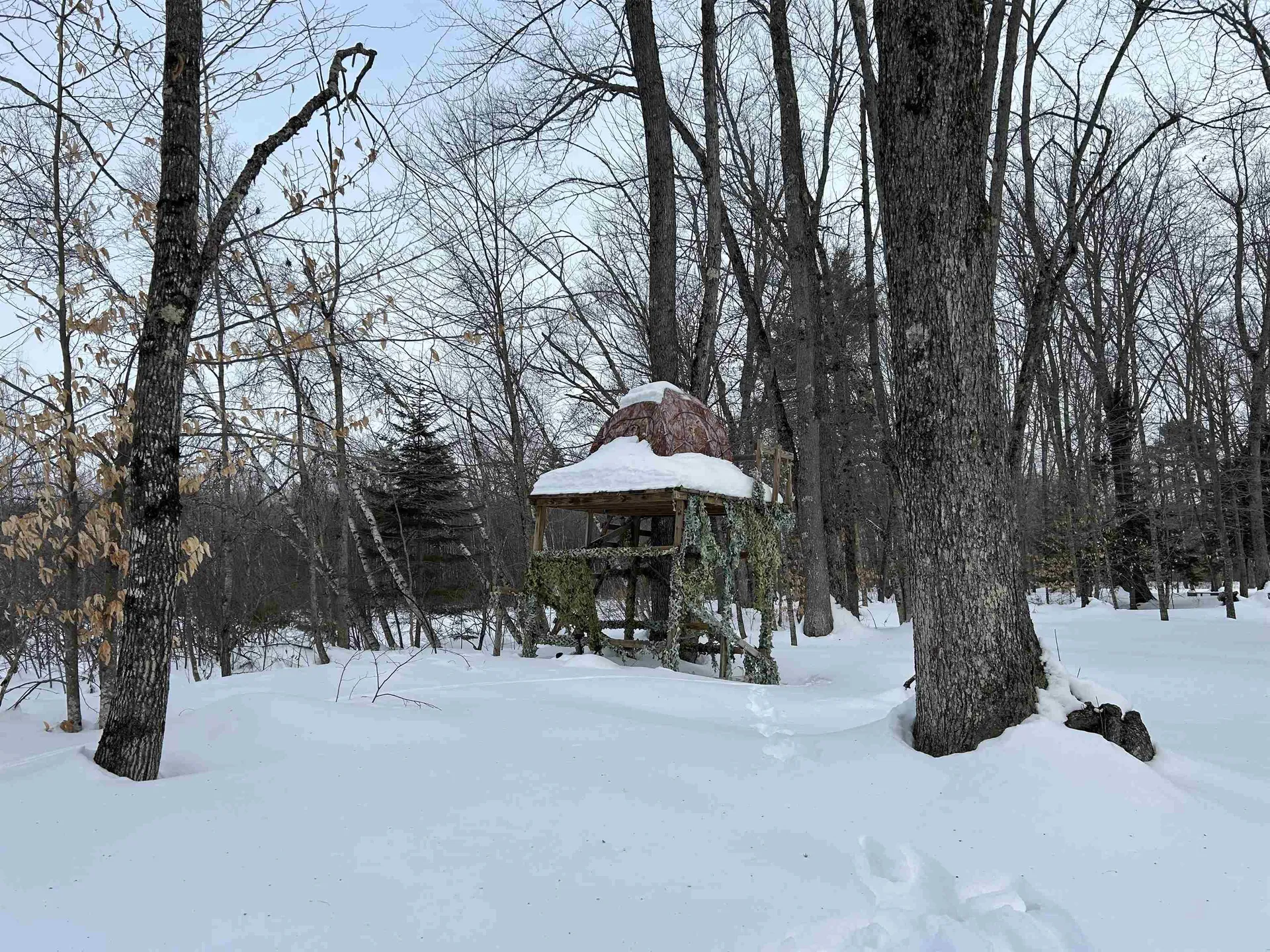 Lot 6 Old River Road Fryeburg ME 04037