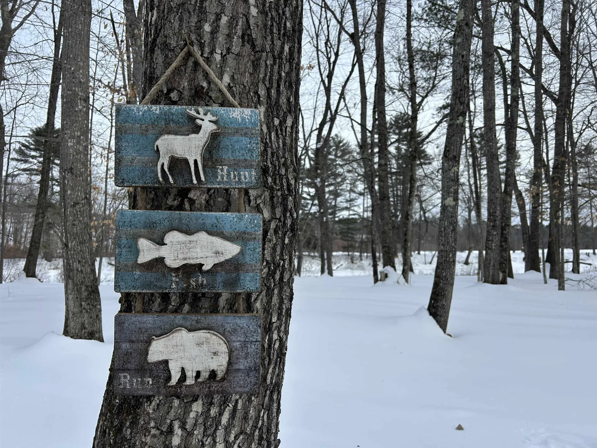 Lot 6 Old River Road Fryeburg ME 04037