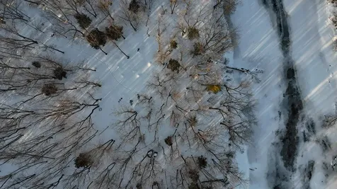 Lot 6 Old River Road Fryeburg ME 04037