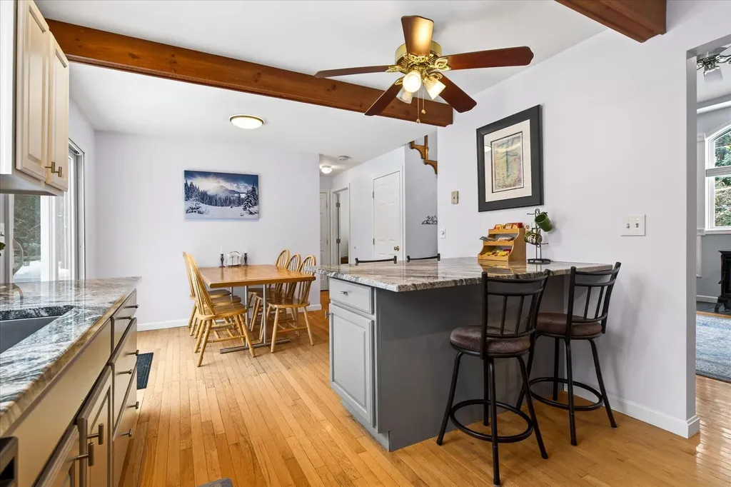 45 Okemo Way Mount Holly VT 05758