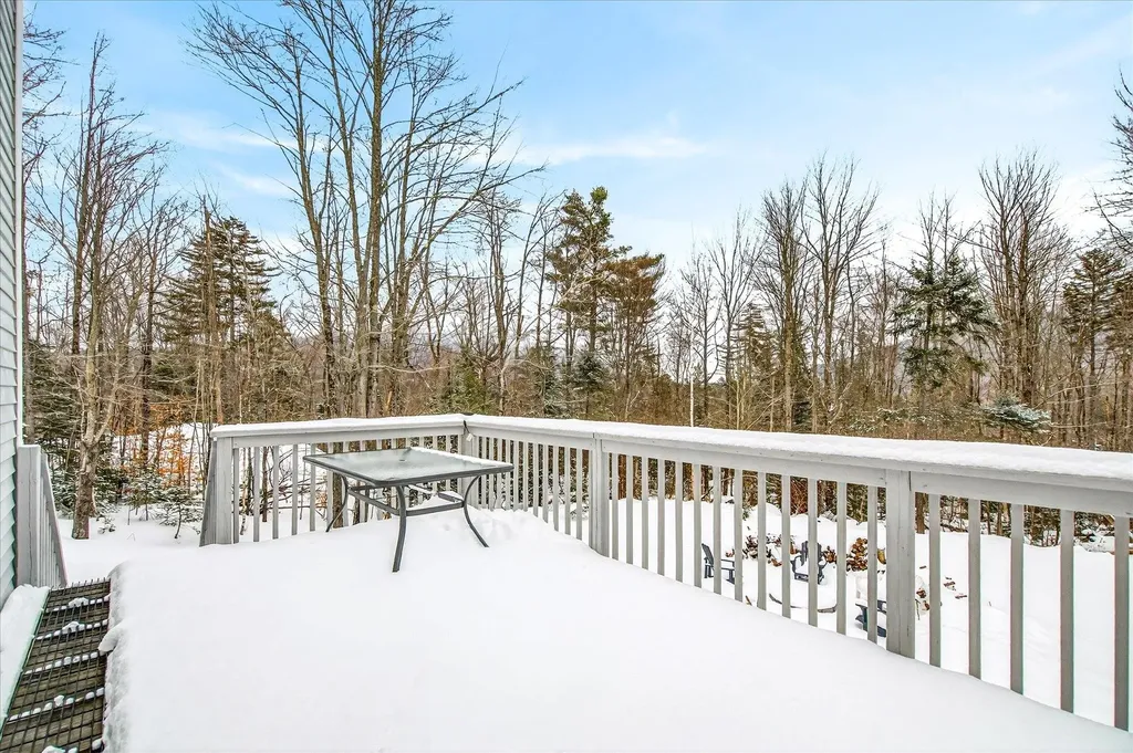 45 Okemo Way Mount Holly VT 05758