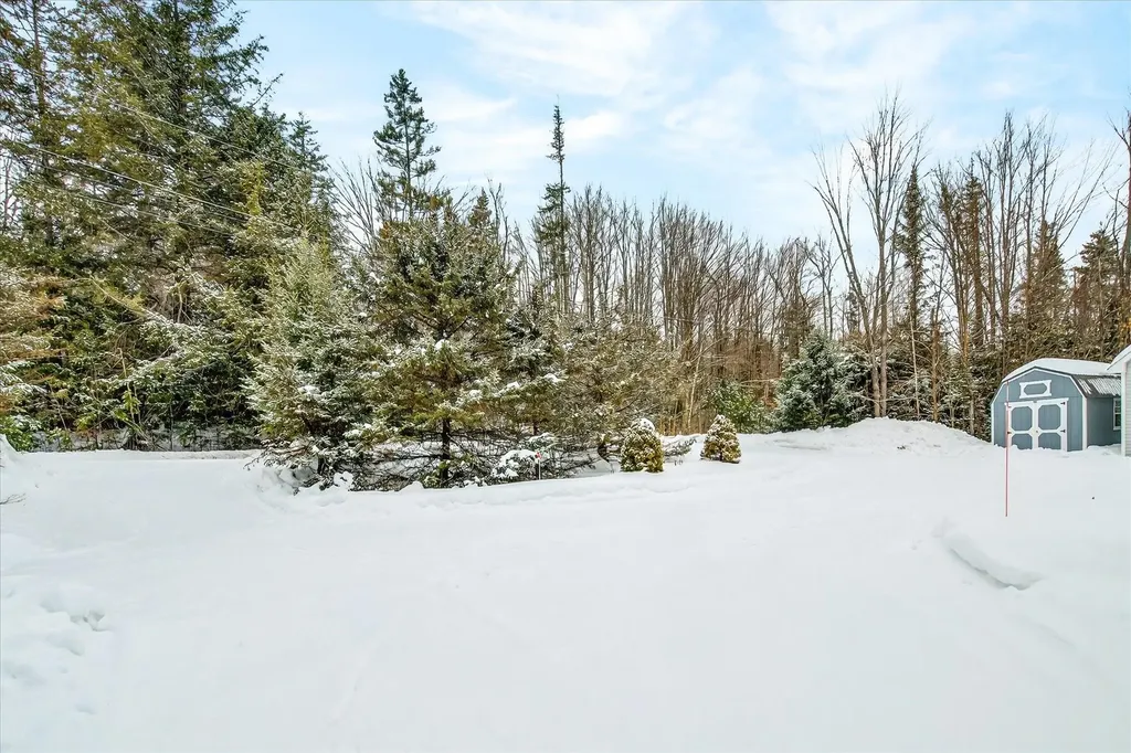 45 Okemo Way Mount Holly VT 05758