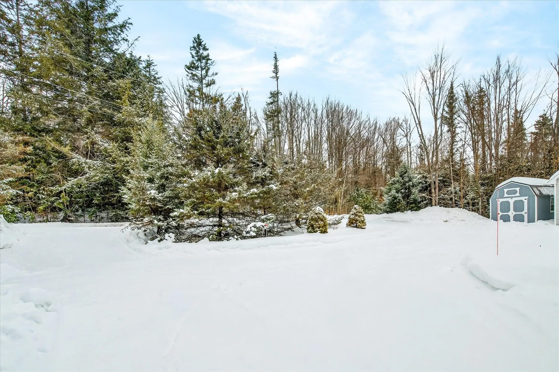 45 Okemo Way Mount Holly VT 05758