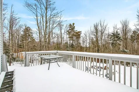45 Okemo Way Mount Holly VT 05758