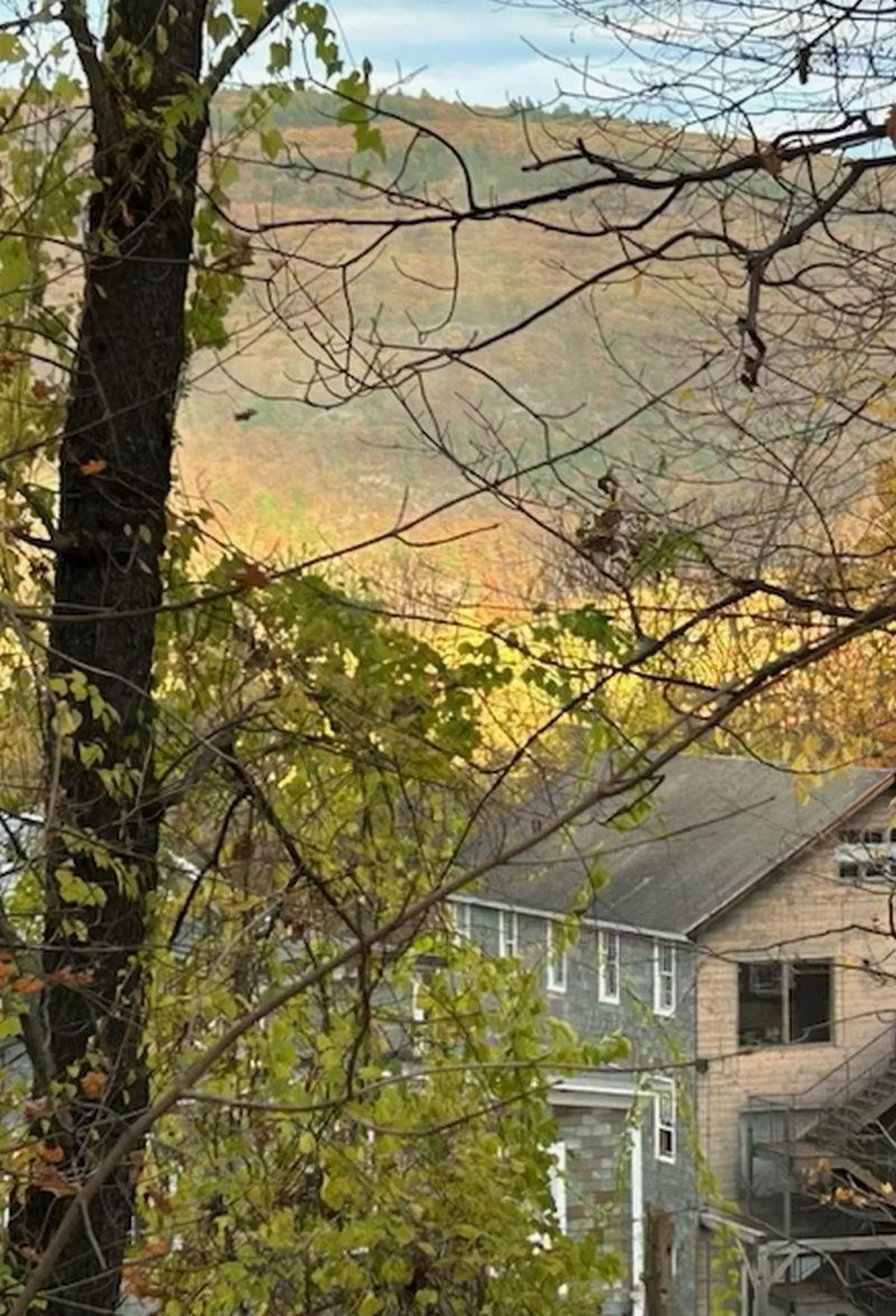 116 Birge Street Brattleboro VT 05301