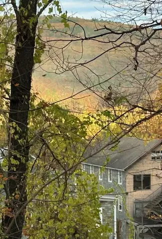 116 Birge Street Brattleboro VT 05301