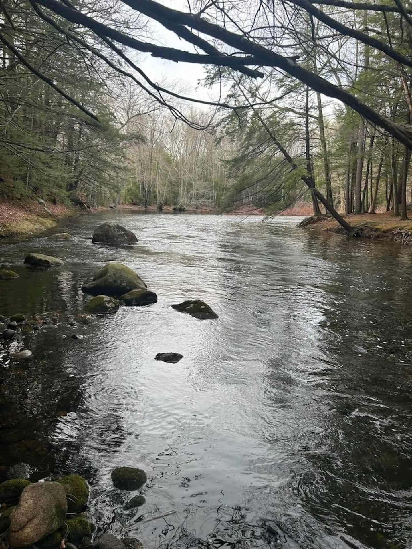 18 Manor View Drive Raymond NH 03077