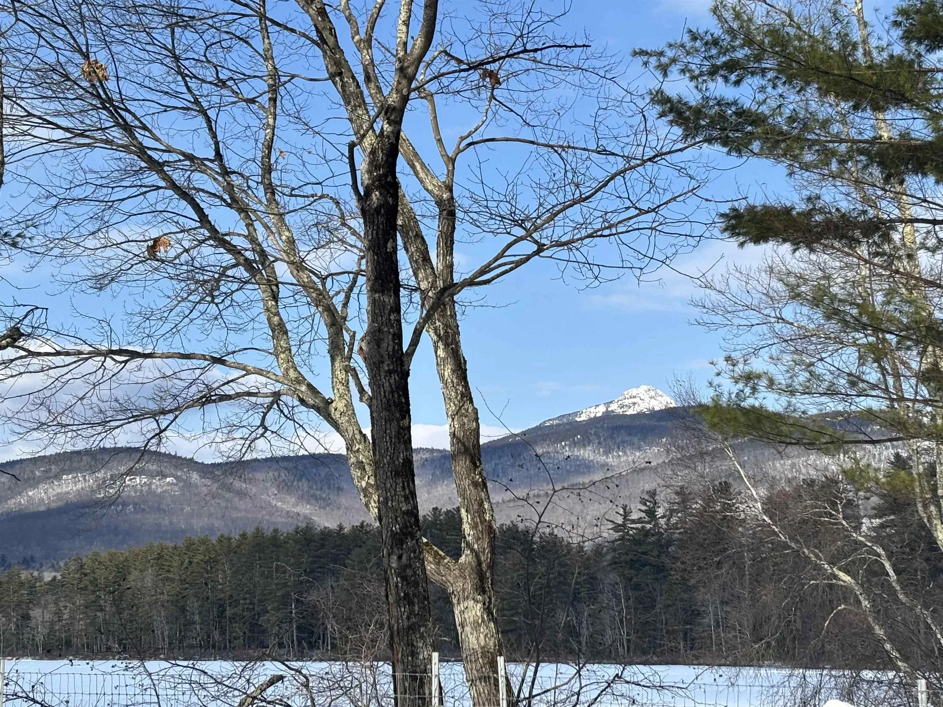 1287 Bearcamp Highway Tamworth NH 03833