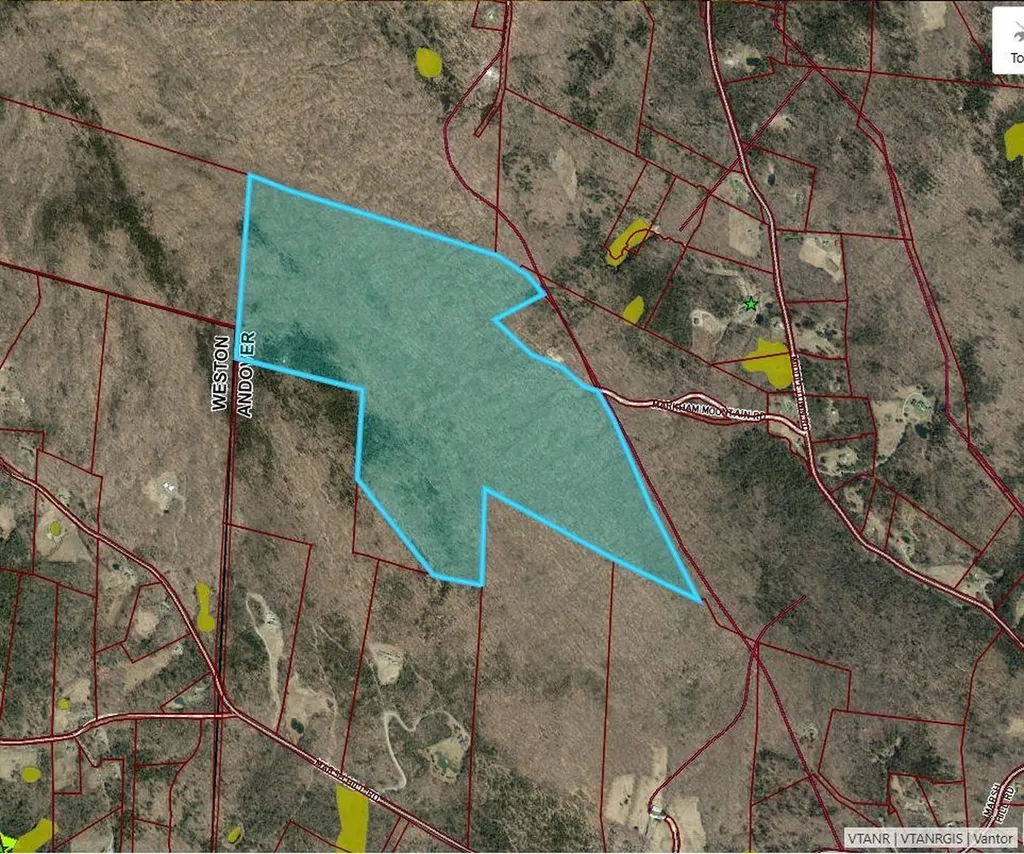 0 Markham Mountain Road Andover VT 05143