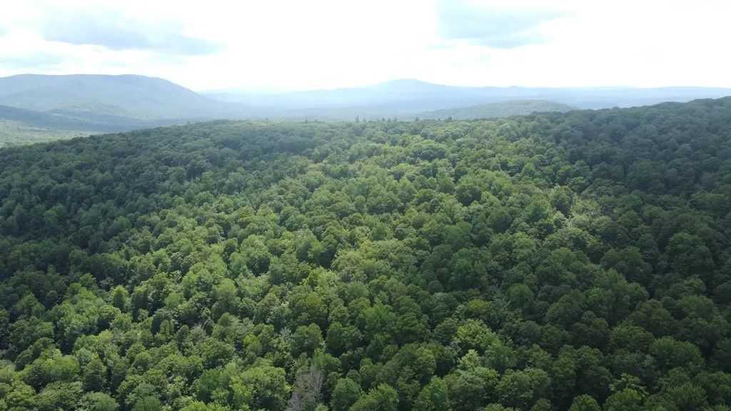 0 Markham Mountain Road Andover VT 05143