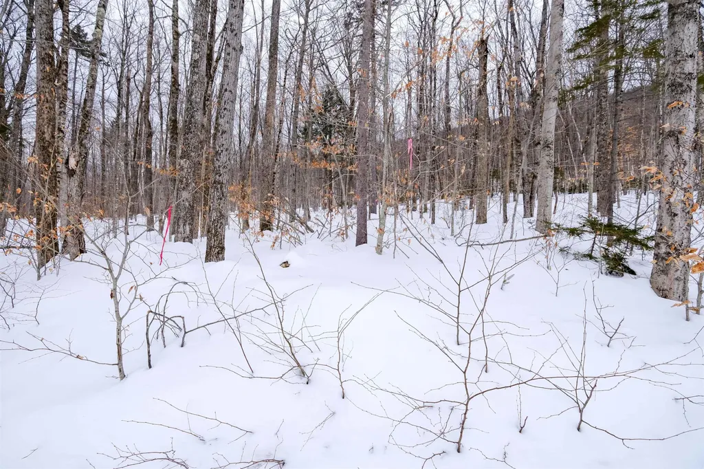 0 Markham Mountain Road Andover VT 05143