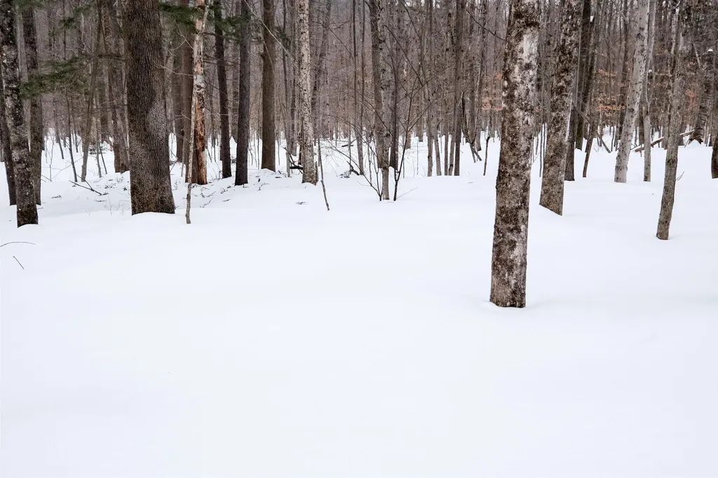 0 Markham Mountain Road Andover VT 05143