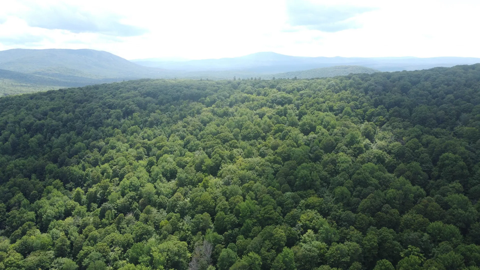 0 Markham Mountain Road Andover VT 05143