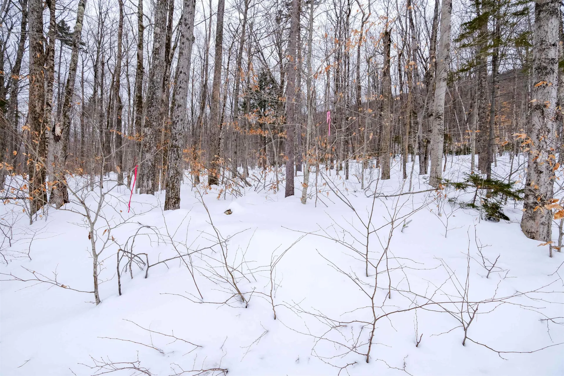 0 Markham Mountain Road Andover VT 05143