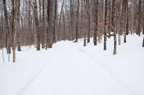 0 Markham Mountain Road Andover VT 05143