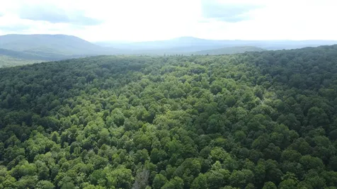 0 Markham Mountain Road Andover VT 05143