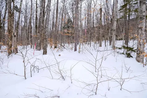 0 Markham Mountain Road Andover VT 05143